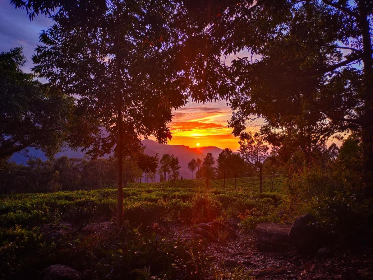 Eco Lodge Haputale-Camping Sri Lanka Luaran gambar