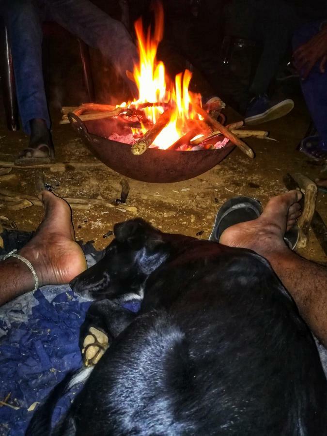 Eco Lodge Haputale-Camping Sri Lanka Luaran gambar