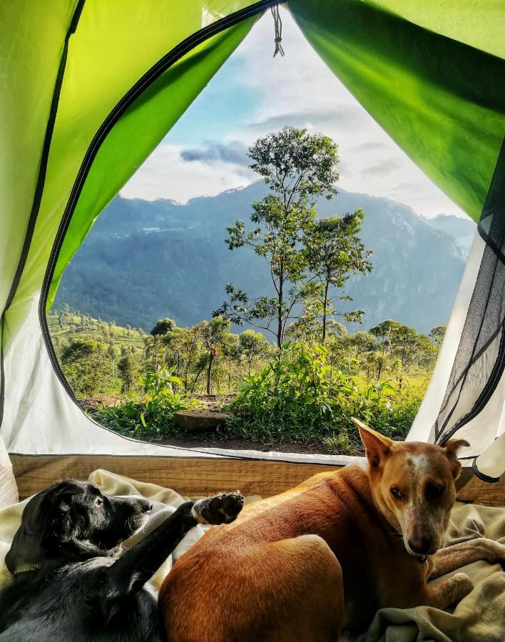 Eco Lodge Haputale-Camping Sri Lanka Luaran gambar